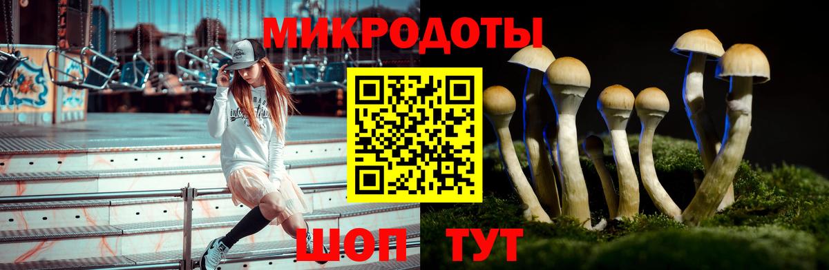 Псилоцибиновые грибы MAGIC MUSHROOMS  Вход с VPN  Галлюциногенные грибы Psilocybine cubensis  Биробиджан 